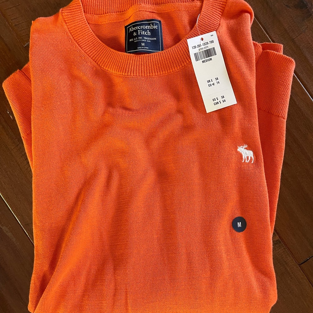 Abercrombie & Fitch Mens Sweater NWT